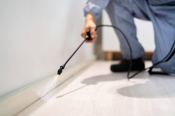 Licensed Pest Control service in New Martinsville, WV - Nex Pest Control