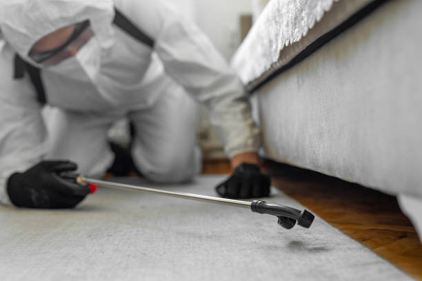 Professional Pest Control technician working in New Martinsville, WV