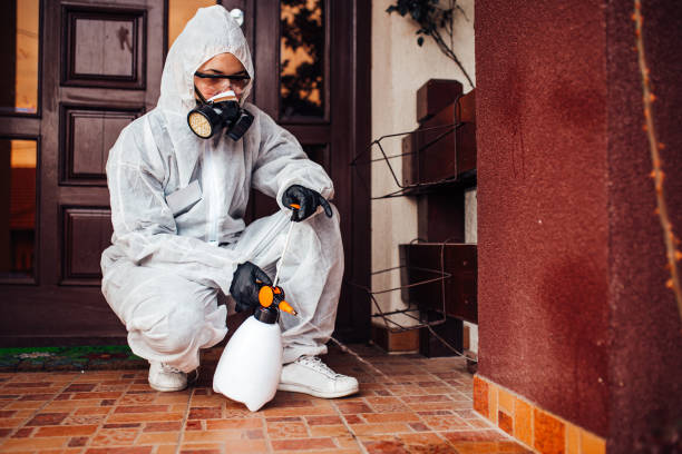 Reliable Bed Bug Control contractor in New Martinsville, WV by Nex Pest Control